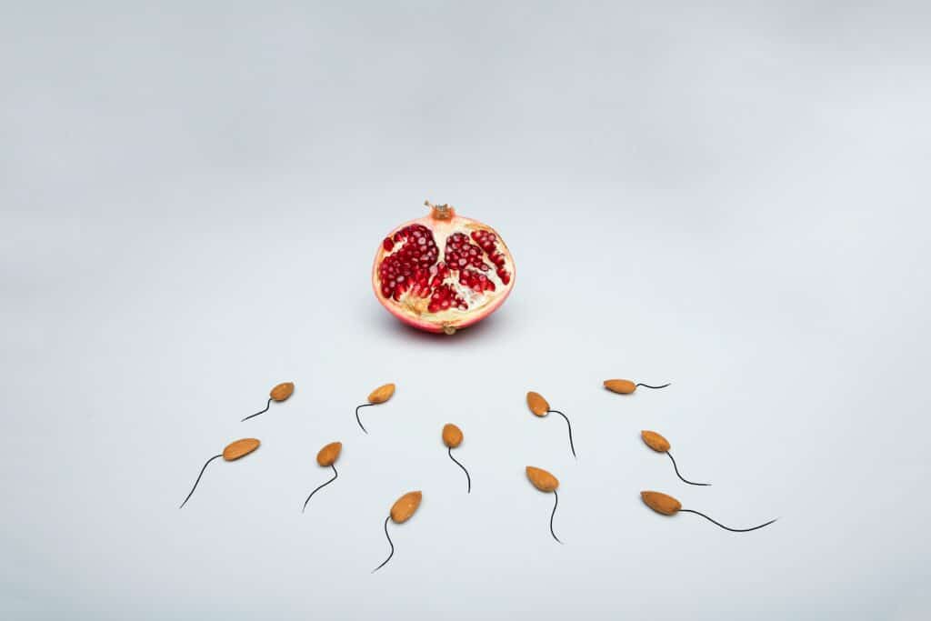 When and Why You Need a Post-Vasectomy Sperm Test